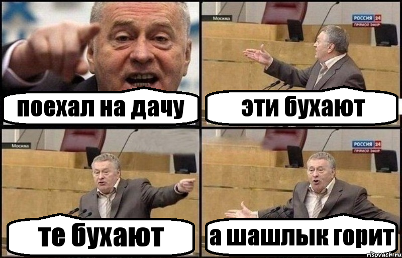 поехал на дачу эти бухают те бухают а шашлык горит, Комикс Жириновский