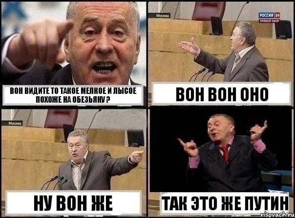 Вон видите то такое мелкое и лысое похоже на обезьяну ? Вон вон оно НУ ВОН ЖЕ Так это же ПУТИН, Комикс Жириновский клоуничает