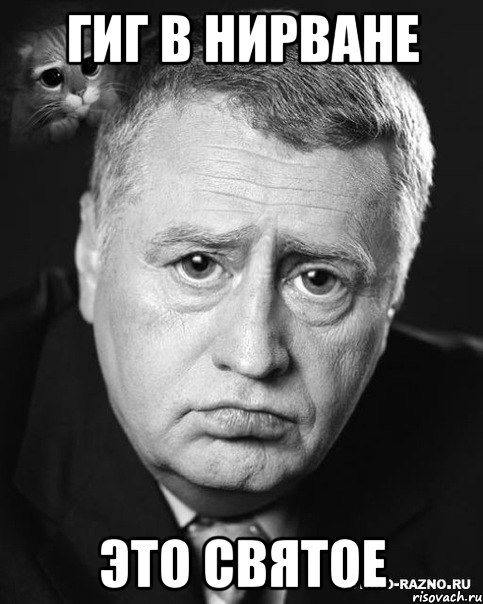 гиг в нирване это святое, Мем жириновский