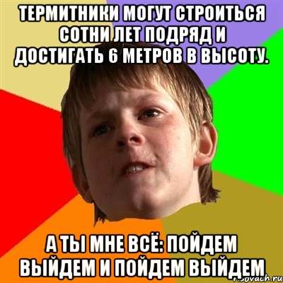 Термитники могут строиться сотни лет подряд и достигать 6 метров в высоту. А ты мне всё: пойдем выйдем и пойдем выйдем, Мем Злой школьник