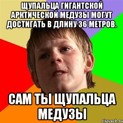 Щупальца гигантской арктической медузы могут достигать в длину 36 метров. Сам Ты щупальца медузы, Мем Злой школьник