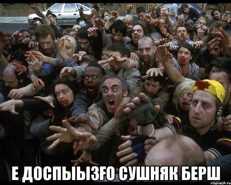  е доспыызғо Сушняк берш