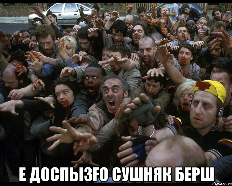  е доспызғо Сушняк берш