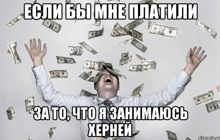 Если бы мне платили За то, что я занимаюсь херней, Мем 21