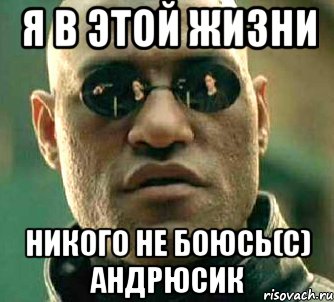 Я в этой жизни никого не боюсь(с) Андрюсик, Мем  а что если я скажу тебе