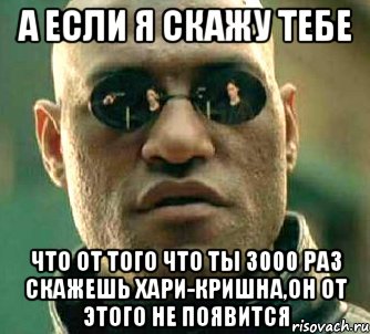 а если я скажу тебе что от того что ты 3000 раз скажешь Хари-Кришна,он от этого не появится, Мем  а что если я скажу тебе