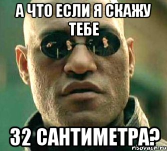 А что если я скажу тебе 32 сантиметра?, Мем  а что если я скажу тебе