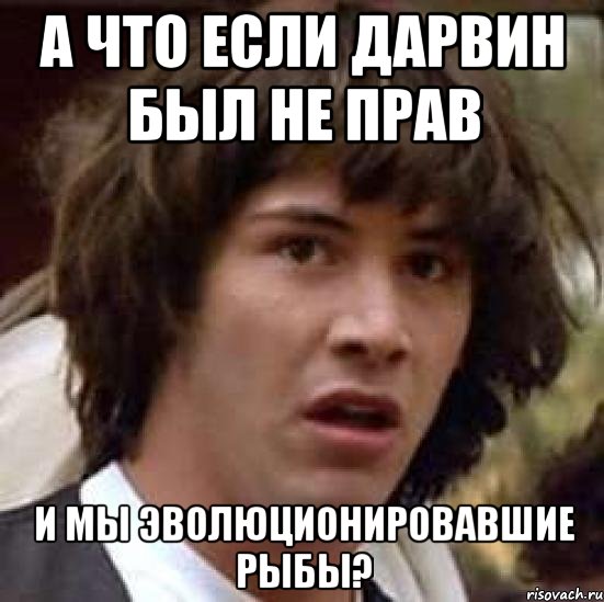 А что если Дарвин был не прав И мы эволюционировавшие рыбы?, Мем А что если (Киану Ривз)