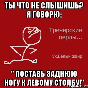 Ты что не слышишь? Я говорю: " Поставь заднюю ногу к левому столбу!"