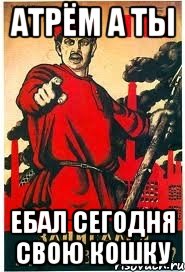 атрём а ты ебал сегодня свою кошку