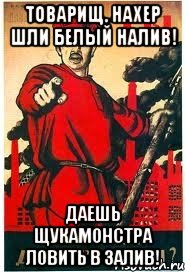 Товарищ, нахер шли белый налив! Даешь щукамонстра ловить в залив!