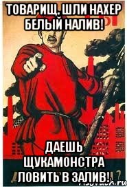 Товарищ, шли нахер белый налив! Даешь щукамонстра ловить в залив!