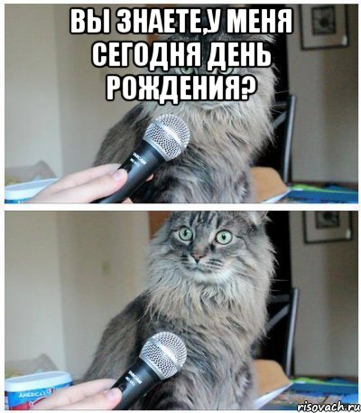 вы знаете,у меня сегодня день рождения? , Комикс  кот с микрофоном