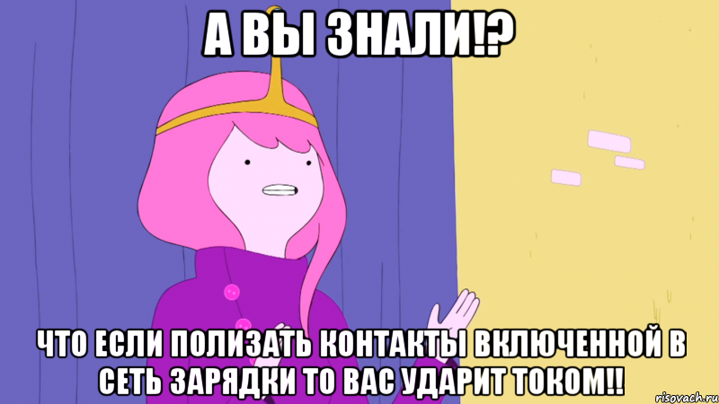 А вы знали!? Что если полизать контакты включенной в сеть зарядки то вас ударит током!!