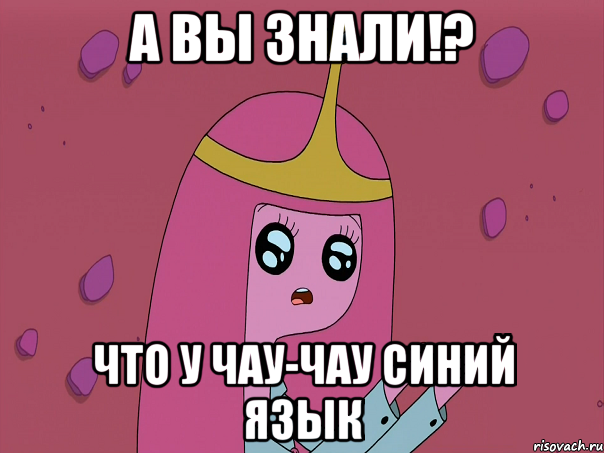 А вы знали!? Что у чау-чау синий язык