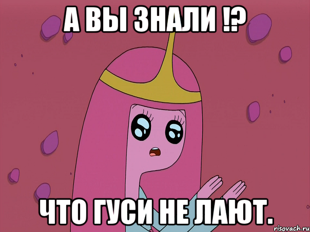 А вы знали !? Что гуси не лают.