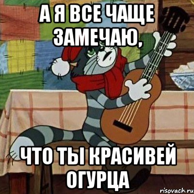 А я все чаще замечаю, что ты красивей огурца, Мем Кот Матроскин с гитарой