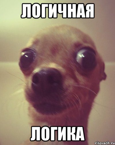 логичная логика