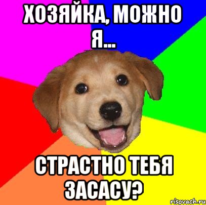 Хозяйка, можно я... страстно тебя засасу?, Мем Advice Dog