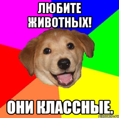 Любите животных! Они классные., Мем Advice Dog