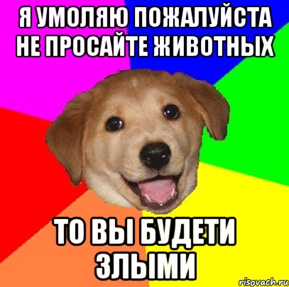 я умоляю пожалуйста не просайте животных то вы будети злыми, Мем Advice Dog