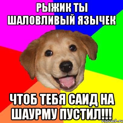 Рыжик ты шаловливый язычек Чтоб тебя Саид на шаурму пустил!!!, Мем Advice Dog