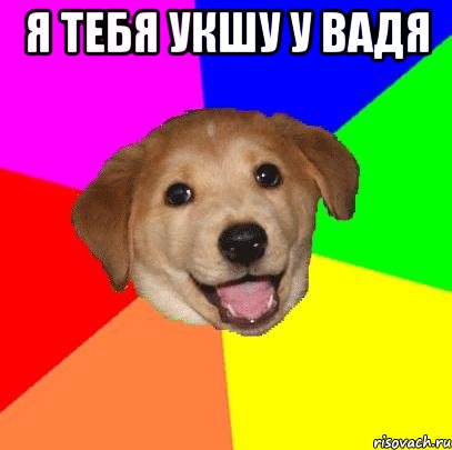 я тебя укшу у вадя , Мем Advice Dog