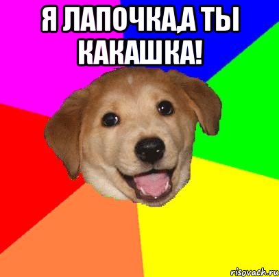 Я лапочка,а ты какашка! , Мем Advice Dog