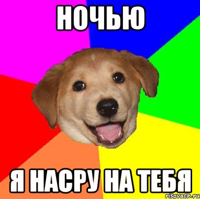 ночью я насру на тебя, Мем Advice Dog