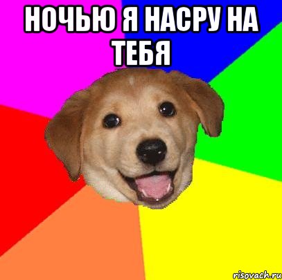 НОЧЬЮ Я НАСРУ НА ТЕБЯ , Мем Advice Dog