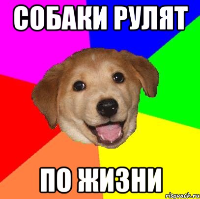 Собаки рулят по жизни, Мем Advice Dog