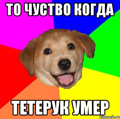 то чуство когда тетерук умер, Мем Advice Dog