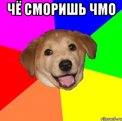 чё сморишь чмо , Мем Advice Dog