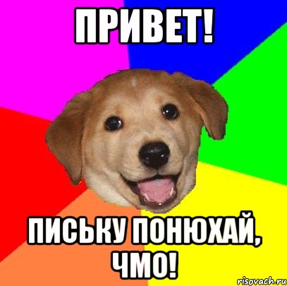 привет! письку понюхай, чмо!, Мем Advice Dog