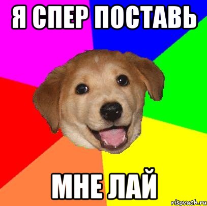 Я спер поставь мне лай, Мем Advice Dog