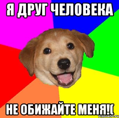 я друг человека не обижайте меня!(, Мем Advice Dog