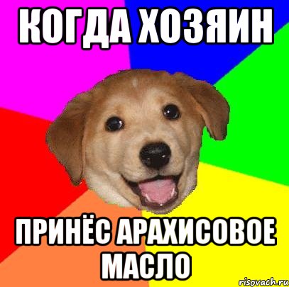 Когда Хозяин Принёс Арахисовое Масло, Мем Advice Dog