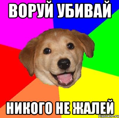 воруй убивай никого не жалей, Мем Advice Dog