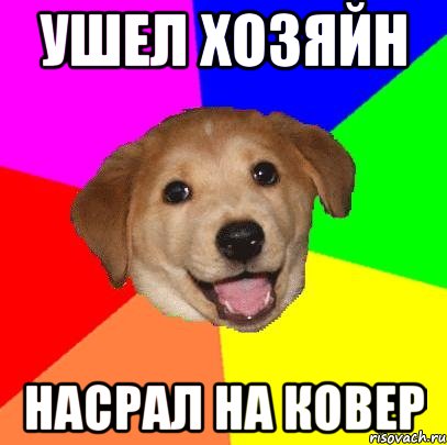 Ушел хозяйн Насрал на ковер, Мем Advice Dog