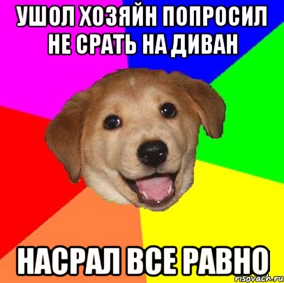 Ушол хозяйн попросил не срать на диван Насрал все равно, Мем Advice Dog