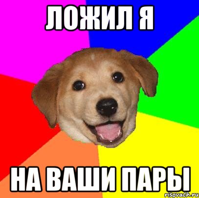 Ложил я на ваши пары, Мем Advice Dog