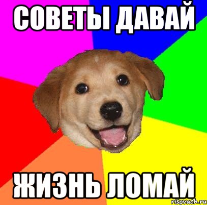 Советы давай Жизнь ломай, Мем Advice Dog