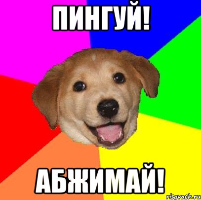 ПИНГУЙ! АБЖИМАЙ!, Мем Advice Dog