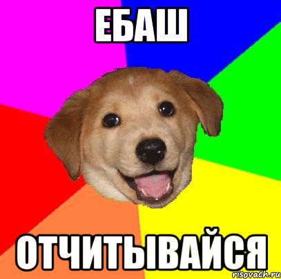 Ебаш Отчитывайся, Мем Advice Dog