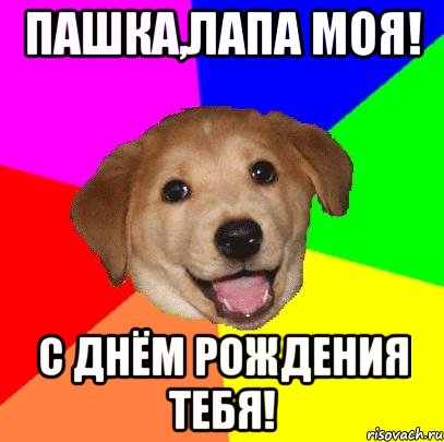 Пашка,лапа моя! С Днём Рождения тебя!, Мем Advice Dog