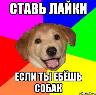 ставь лайки если ты ебёшь собак, Мем Advice Dog