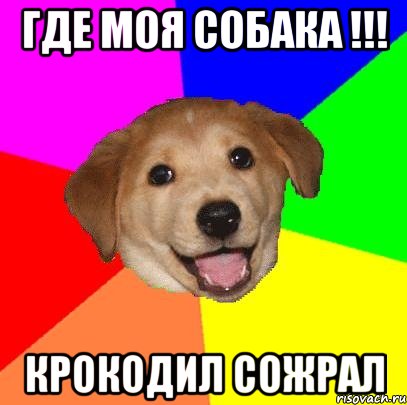 где моя собака !!! крокодил сожрал, Мем Advice Dog