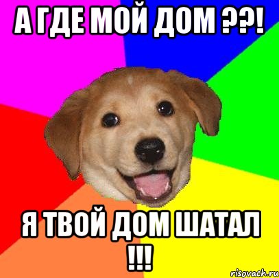 А где мой дом ??! я твой дом шатал !!!, Мем Advice Dog