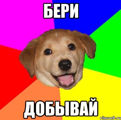 БЕРИ ДОБЫВАЙ, Мем Advice Dog