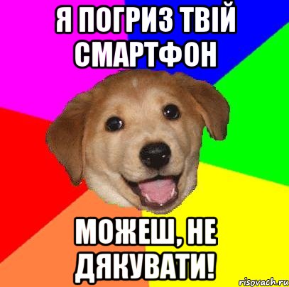 Я погриз твій смартфон Можеш, не дякувати!, Мем Advice Dog